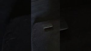 как очистить салон от шерсти в любой машине
