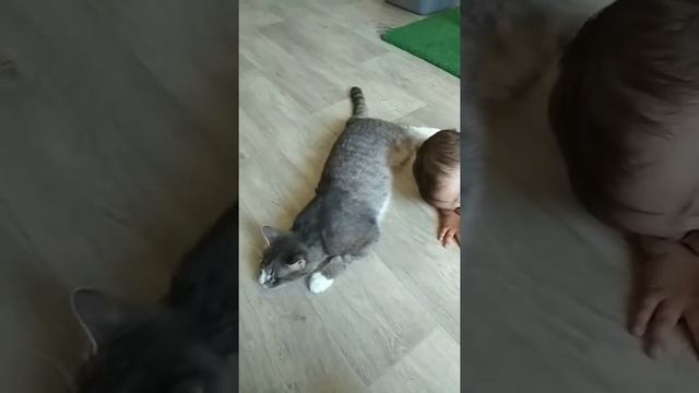 Приют