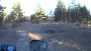 КАК ИДЁТ ИЖ ПЛАНЕТА НА 15 ЗВЕЗДЕ. ПЕСОК + ПРОСЁЛОК ЕДУ В ОАЗИС.