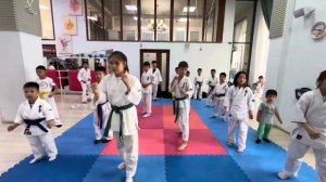 Зендокай Будо каратэ-до