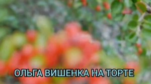 СВИНАЯ КИШКА НАБИТА! ОЛЬГА УРАЛОЧКА LIVE. ОБЗОР ВЛОГА.