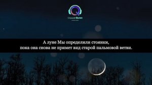 Ясин Сура - слушайте каждый день. Очень красивое спокойное чтение корана.