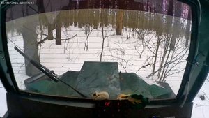 Самодельный гусеничный вездеход по лесу