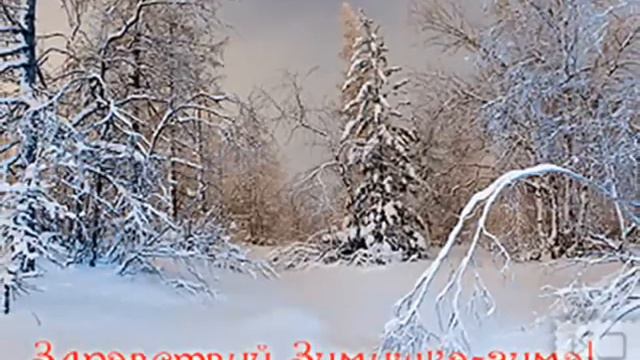 с Приходом Зимы !