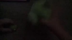 Piggy Tales: Abduction (Plush Version)