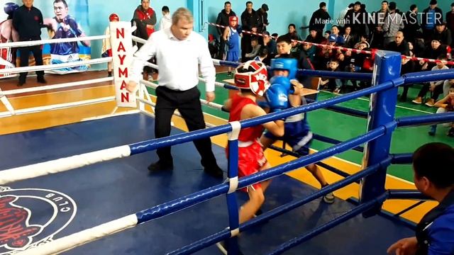 Соревнования по Боксу смотреть онлайн