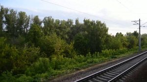 Борский железнодорожный мост