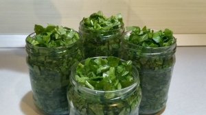 Заготовка щавеля на зиму „ Просто добавь воды !!! " Самый лёгкий способ .