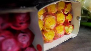 GFG | ЦВЕТЫ ОПТОМ. Розы микс. Плантация Tessa. Эквадор