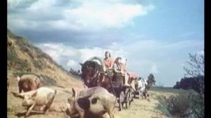 Солдат Иван Бровкин (1955)