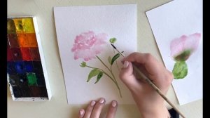 Рисуем пион акварелью. Легко!