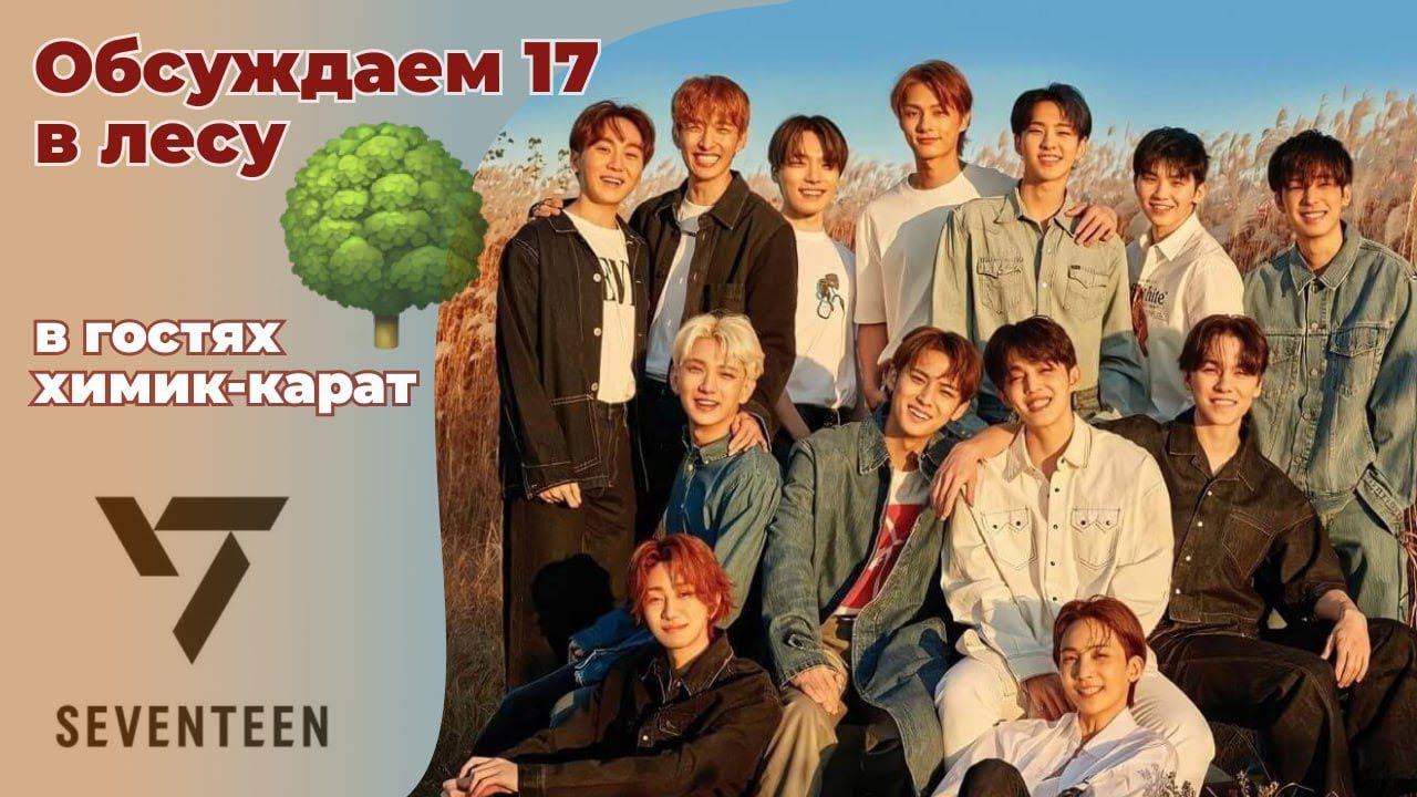 SEVENTEEN. Тринадцать звездочек в одном флаконе. Очень личный рассказ и животворящий БумБумБум смотреть онлайн