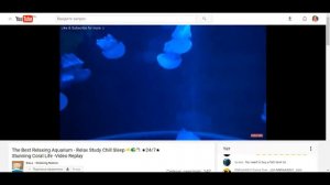 Мужчина должен (dislive)