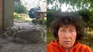 СТЕРИЛИЗАЦИЯ СОБАКИ ????  СТЕРИЛИЗАЦИЯ СОБАКИ!!!!