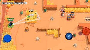 бравул старс