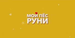 Мой пёс Руни (Фильм 2023) смотреть онлайн в хорошем качестве