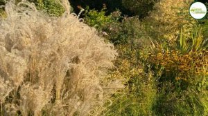 VILLANDRY : UN JARDIN POTAGER DÉCORATIF D’EXCEPTION ET BIEN PLUS ENCORE