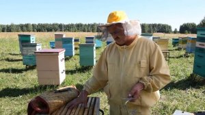 Инвентарь для пчеловодства - что необходимо пасечнику