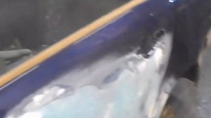 Ремонт задней двери Лада Гранта