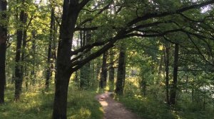 Александрийский парк. К истории создания.