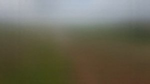 МТЗ 80. Окучивание ежами