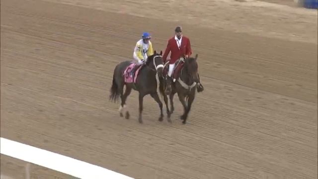 Friday April 15 - 600000 2016 Apple Blossom Handicap