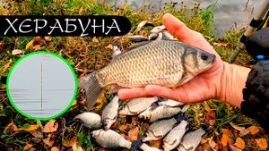 Купил ЛЕГКУЮ палку под карася. Идеально?!