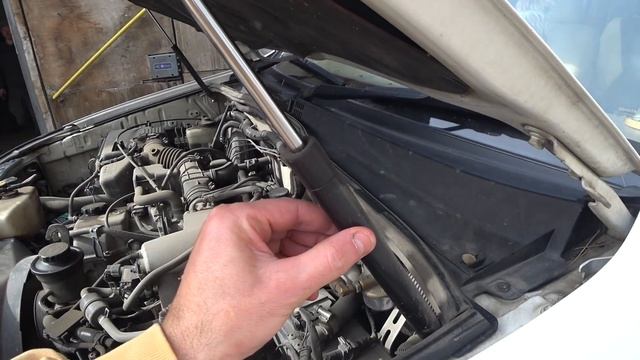 Продажа свиноматки смотреть онлайн