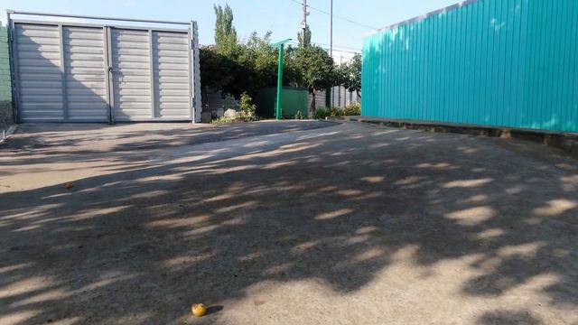 богатов