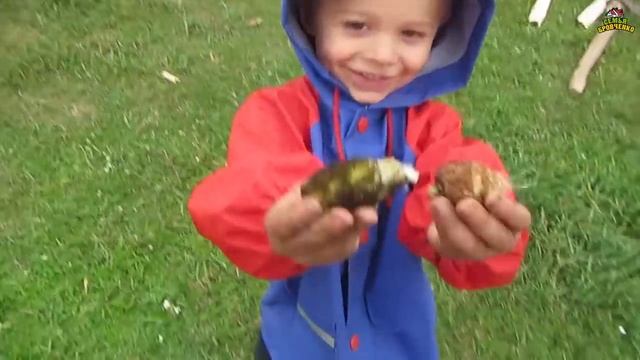 Рыбалка на Уриковском водохранилище Ч.1 (07.20г.) Семья Бровченко. смотреть онлайн