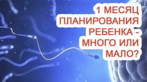 1 месяц планирования ребенка – много или мало? / Доктор Черепанов