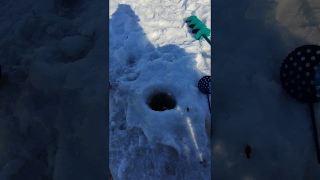 В ЭТОМ ВСЯ РЫБАЛКА!