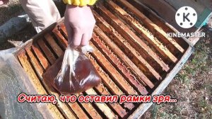 Что нужно сделать при подготовке пчёл к зимовке!?