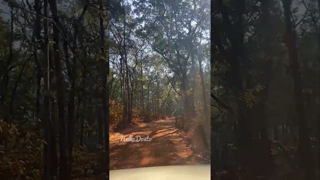 Dudhsagar fall jeep safari | Dudhsagar waterfall | Jeep safari | Dudhsagar water fall Goa