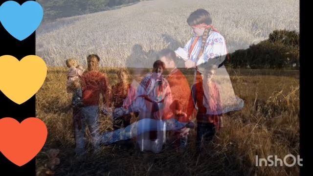 Семейная фотосессия в поле. Семья Курганских