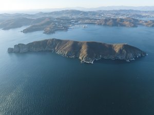 Fall Out Boy - Headfirst Slide Into Cooperstown On A Bad Bet (Album Version)