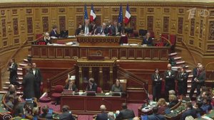 Во Франции одобрена пенсионная реформа, несмотря на протесты и забастовку