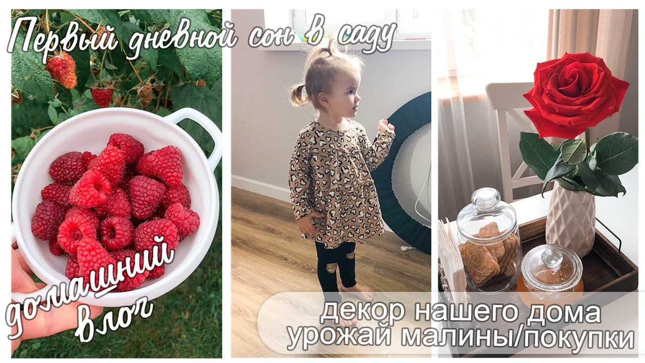 ДОМАШНИЙ ВЛОГ: ПЕРВЫЙ СОН В ДЕТСКОМ САДУ/ УРОЖАЙ МАЛИНЫ/ УЮТ В НАШЕМ ДОМЕ/ ПОКУПКИ/ смотреть онлайн