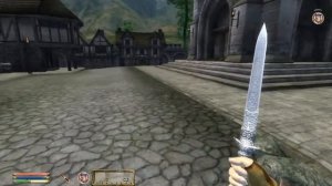 The Elder Scrolls 4 Oblivion Часть 27 Хожу брожу по Анвилу