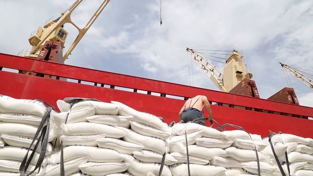 Zoom sur le métier de Docker смотреть онлайн