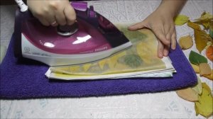 Заготовка осенних листьев. Как высушить осенние листья с парафином.