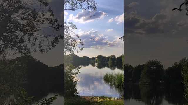 Тёплые моменты лета🌿☀