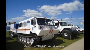 #2485. Снегоход ТТМ-6901 Антей концепт