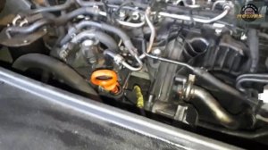 How to replace OIL COOLER and FILTER HOUSING 1.6TDI, 2.0 TDI (VW, Skoda, Audi, Seat), EXPRESS video