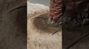 Место для релакса. Пляж Pacific, Рас-эль-хайм, ОАЭ.