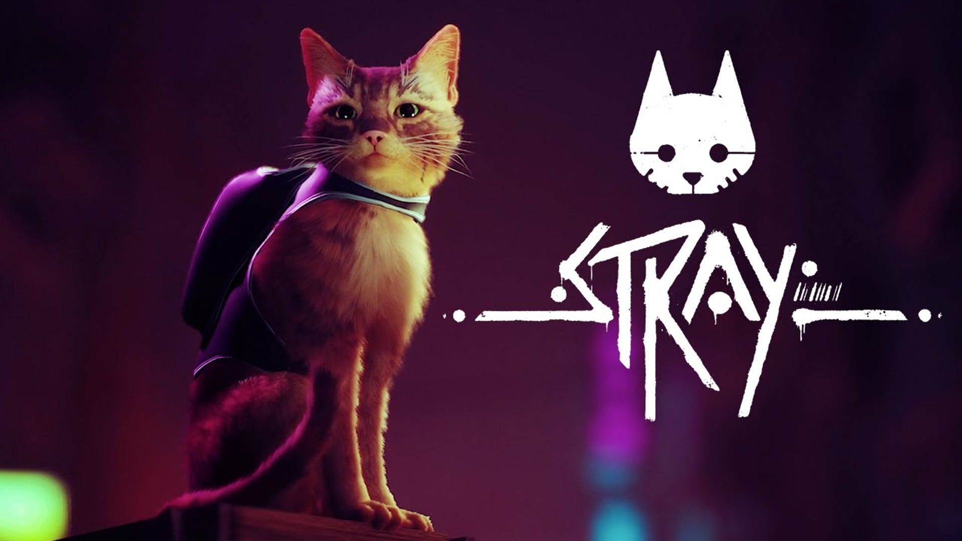 Суровые кошачьи будни ► STRAY ► Серия 1 ◄  Полное прохождение Запись стрима