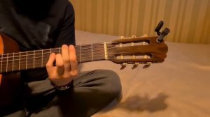 Polly by Nirvana, played on my Vintage Classic Musima 80'