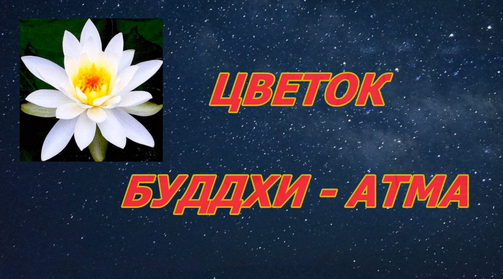 ЦВЕТОК АТМА - БУДДХИ. Часть 1. Разговор с Сергеем Резником.