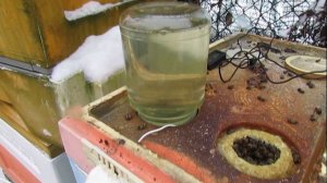 постоянная зимняя подкормка на гнезде пчел, в каких случаях можно применять такой вид подкормки