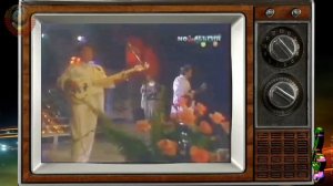 Перелетная птица ...  ВИА Маки.  1986 год..mp4